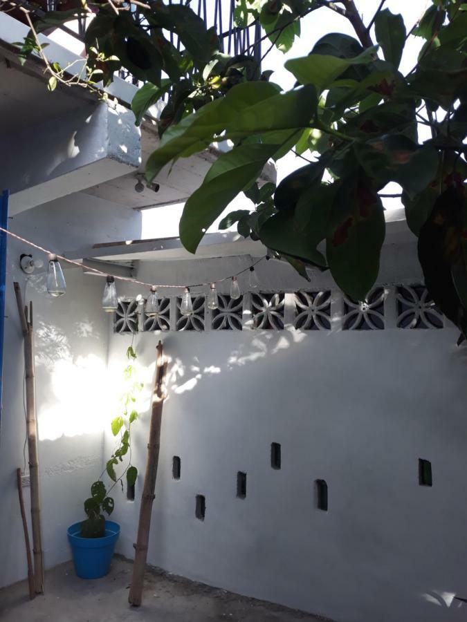 Meanwhile In Veracruz Esterno foto