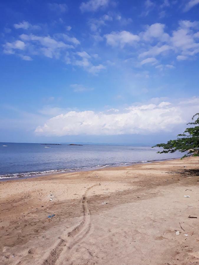 Meanwhile In Veracruz Esterno foto